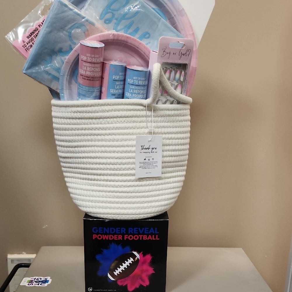 Gender Reveal Celebration Kit with Pink and Blue Accents